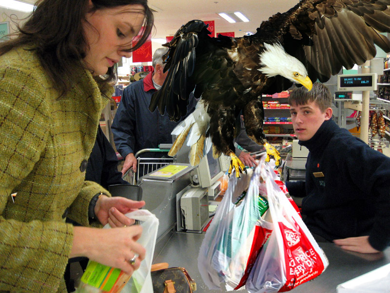 Photoshop Design by jtzag18 for DesignCrowd (Community Contests) | Design #8961660