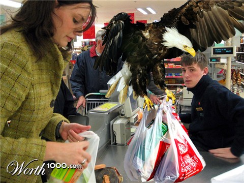 Photoshop Design by jtzag18