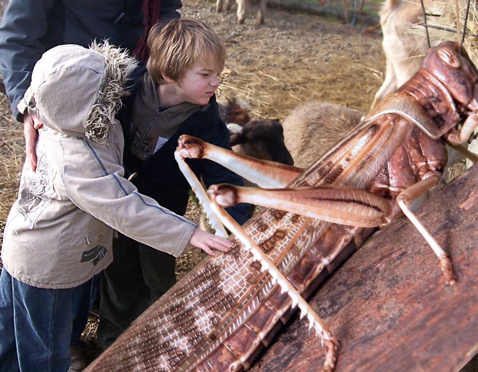 Diseño de Photoshop por graheeme para DesignCrowd (Community Contests) | Diseño #8963092