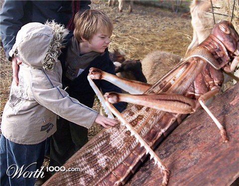 Photoshop Design by graheeme