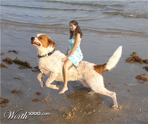 Photoshop Design by zsomeone