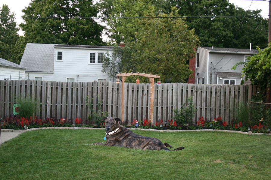 Photoshop Design by ama168 for DesignCrowd (Community Contests) | Design #8963162