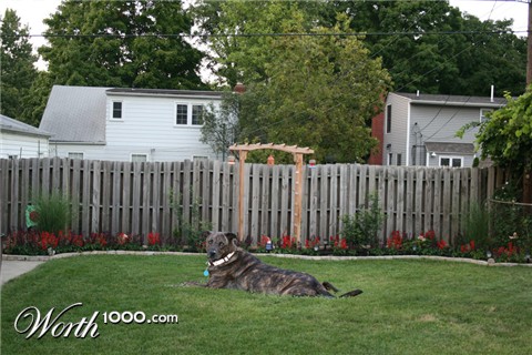 Photoshop Design by ama168