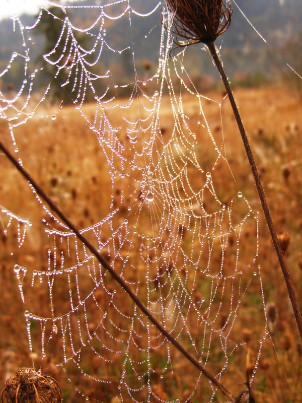 Photographie par Feature pour DesignCrowd (Community Contests) | Design #8963125