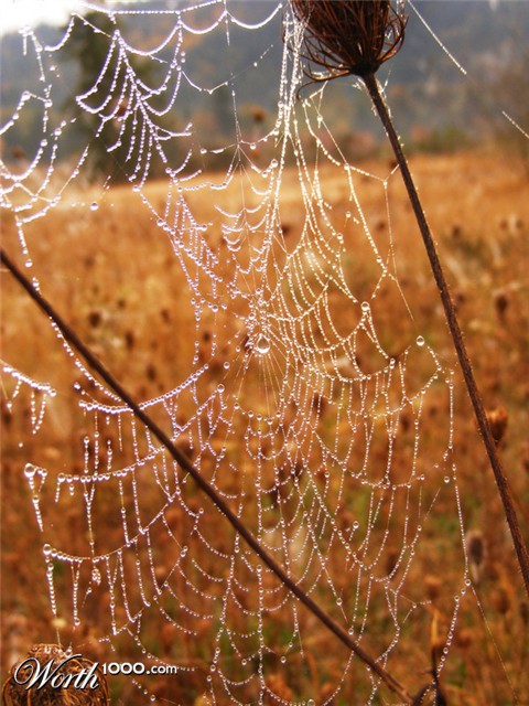 Photography by Feature