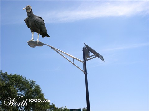 Photoshop Design by djdoubt03