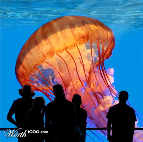 Photoshop Design by ahsayn