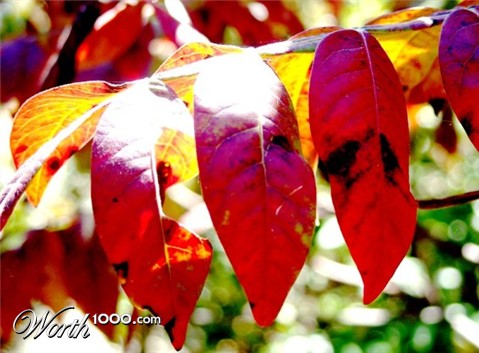 Photography by kanucme