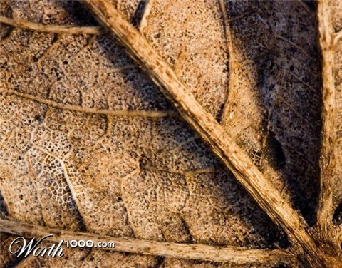 Photography by kanucme