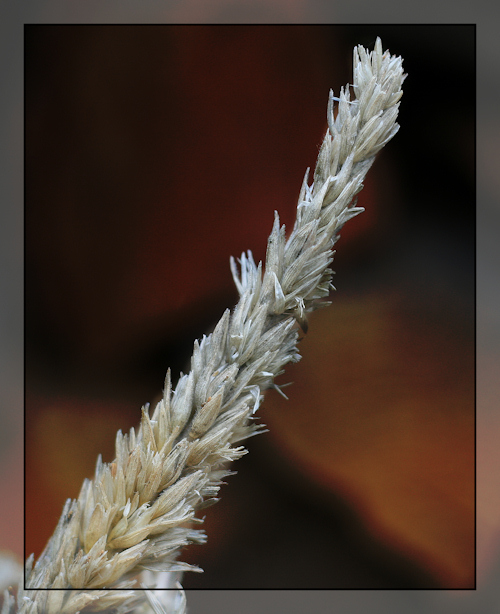 Photography by jasduc for DesignCrowd (Community Contests) | Design #8963241