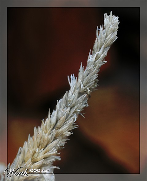 Photography by jasduc