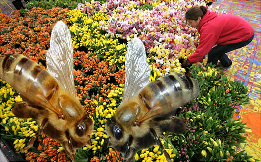 Photoshop Design by Mmbikj1 for DesignCrowd (Community Contests) | Design #8963250