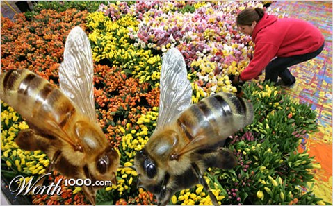 Photoshop Design by Mmbikj1