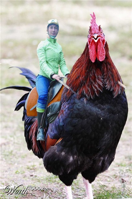 Photoshop Design by Kingbonez