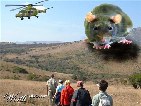 Photoshop Design by keletso