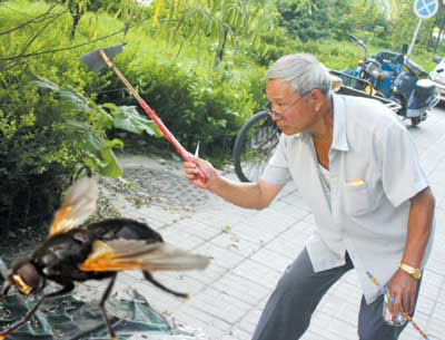 Photoshop Design by PontshoPOnSo for DesignCrowd (Community Contests) | Design #8963262