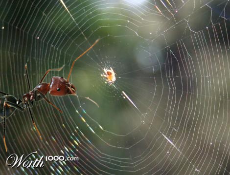 Photoshop Design by Kelogs