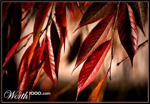 Photography by essjaynz