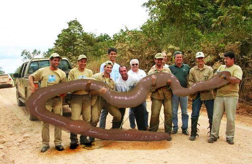 Diseño de Photoshop por Simplex para DesignCrowd (Community Contests) | Diseño #8963217