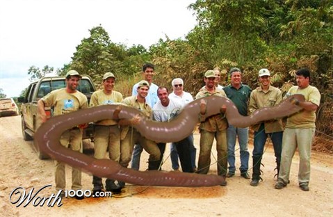 Photoshop Design by Simplex