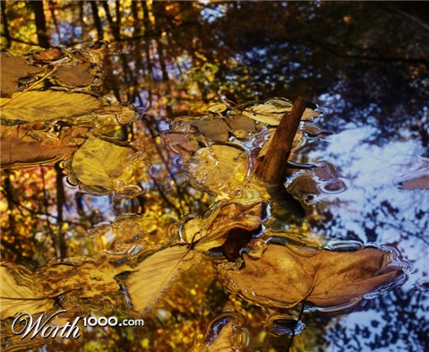 Photography by DebCam