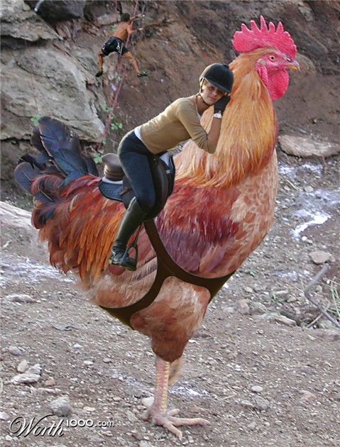 Photoshop Design by diveclass101