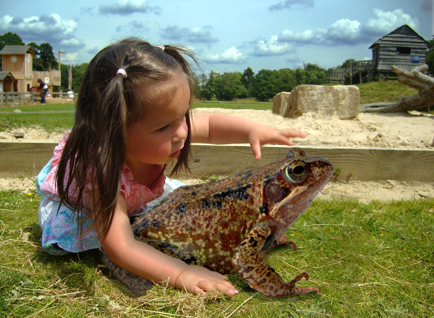 Photoshop-Design von kempony für DesignCrowd (Community Contests) | Design #8963200