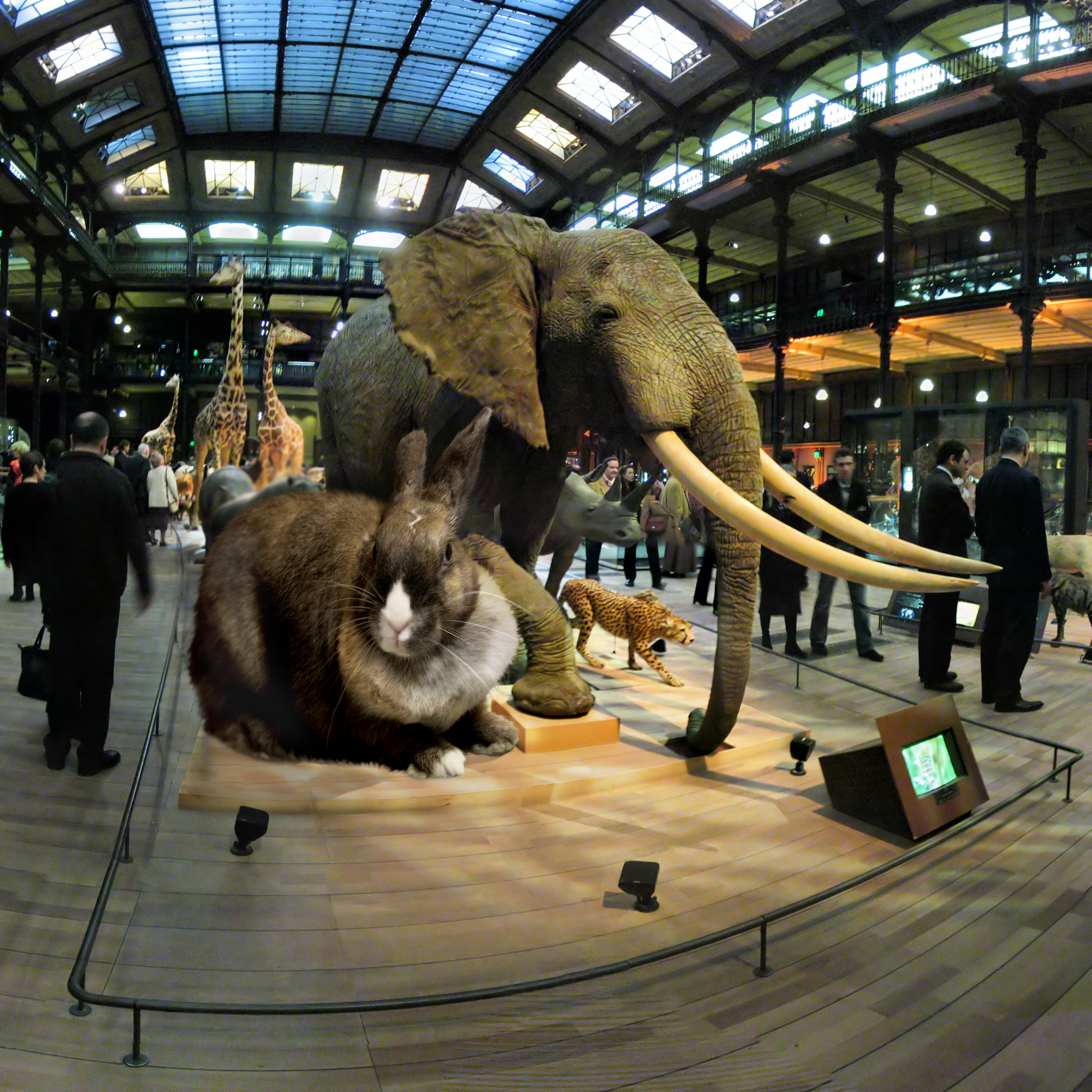 Photoshop Design by binome for DesignCrowd (Community Contests) | Design #8963135