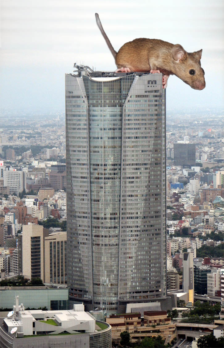 Design Photoshop par tasja71 pour DesignCrowd (Community Contests) | Design #8963300