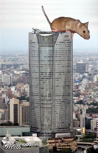 Photoshop Design by tasja71