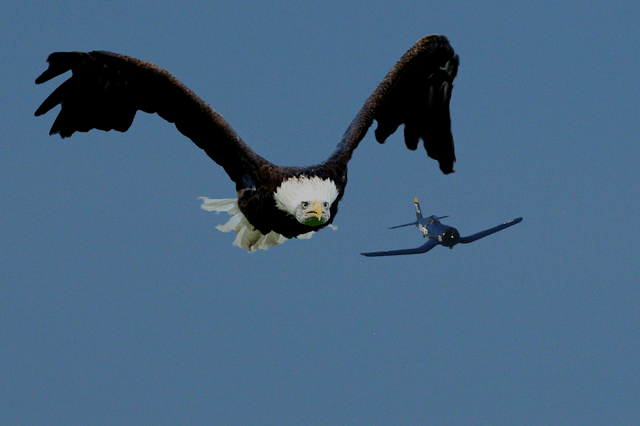 Diseño de Photoshop por doruk19 para DesignCrowd (Community Contests) | Diseño #8963273