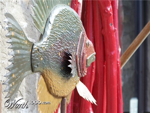 Photography by Balbina