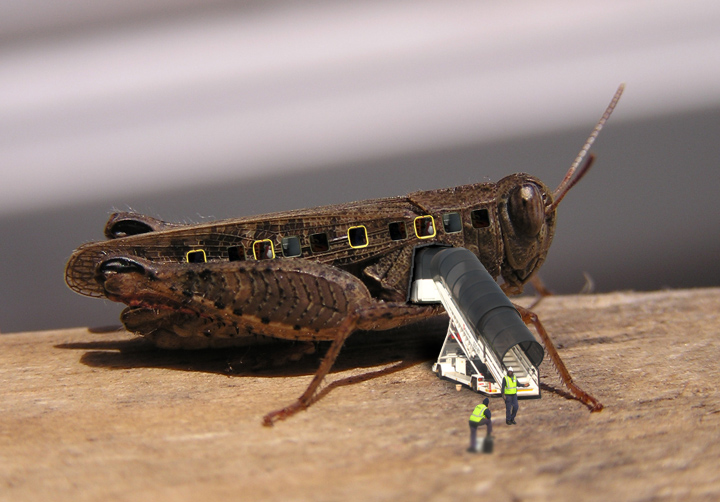 Photoshop Design by vipez for DesignCrowd (Community Contests) | Design #8963129