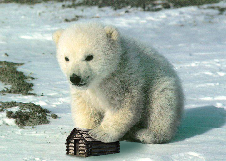 Photoshop Design by alesiphoto for DesignCrowd (Community Contests) | Design #8963185