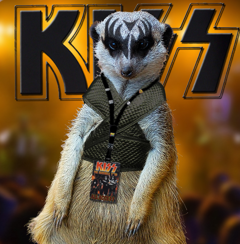 Photoshop Design by tombearr for DesignCrowd (Community Contests) | Design #8962013