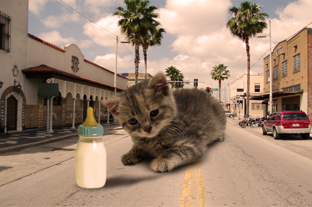 Photoshop Design by Ludde06 for DesignCrowd (Community Contests) | Design #8963327