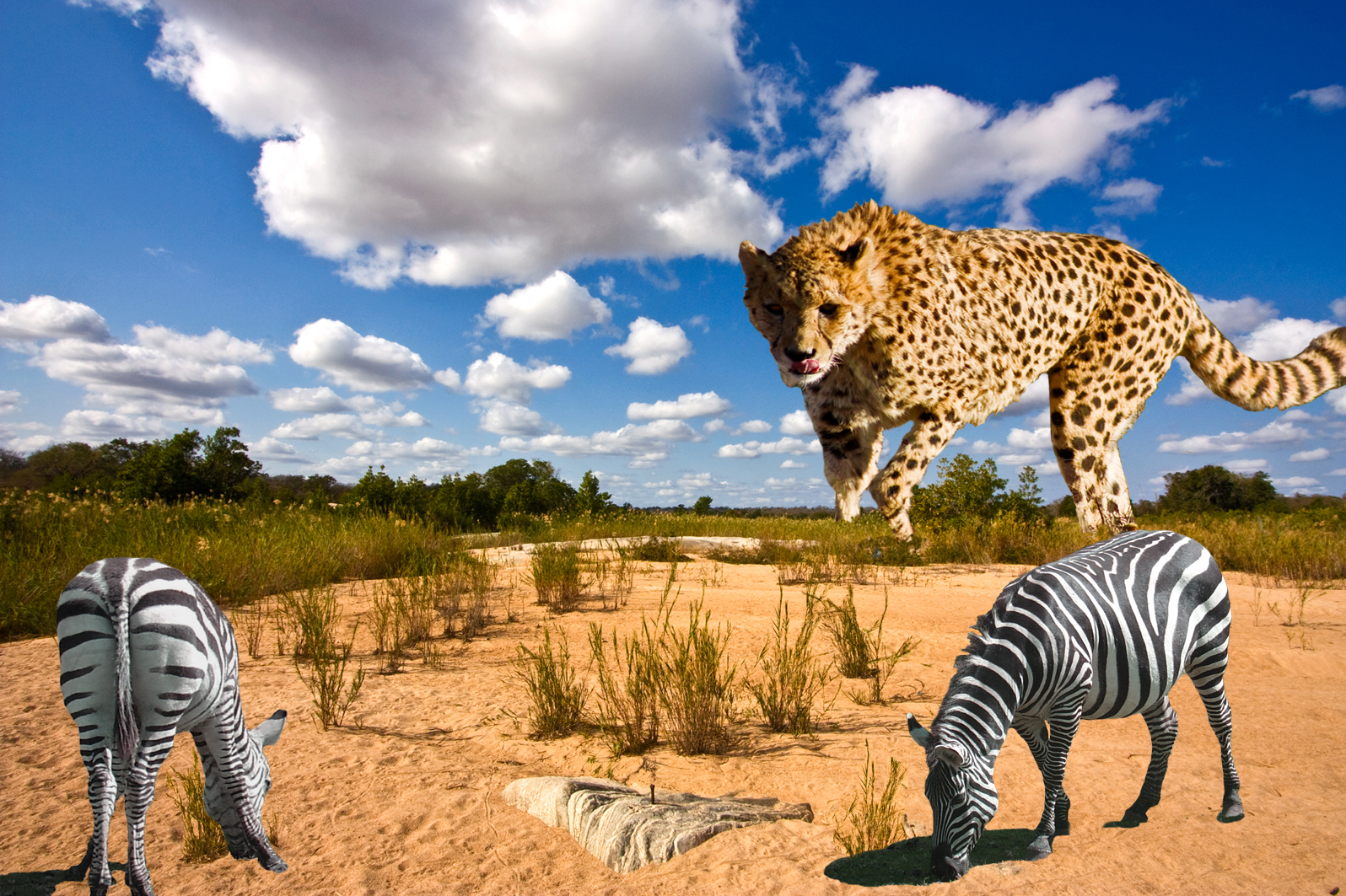 Photoshop-Design von powder08 für DesignCrowd (Community Contests) | Design #8963387