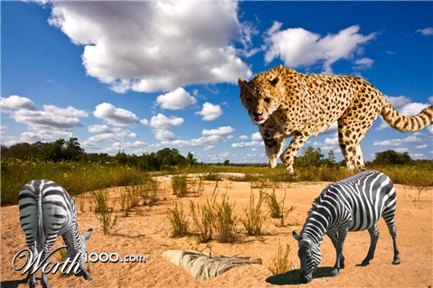 Photoshop Design by powder08