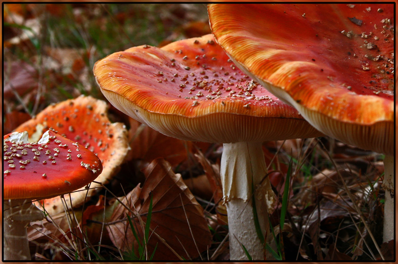 Photography by charizz for DesignCrowd (Community Contests) | Design #8963294