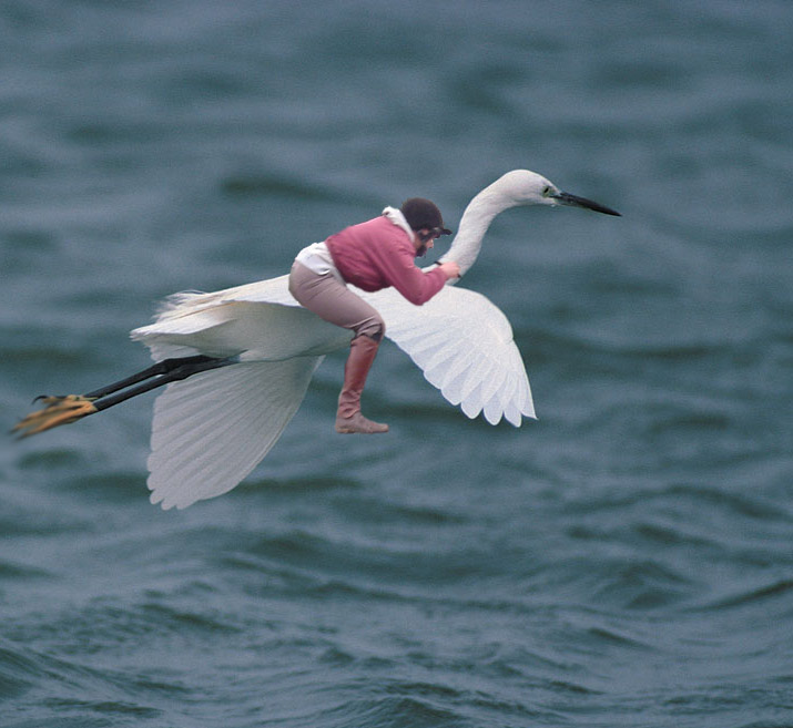 Photoshop-Design von dimwit91 für DesignCrowd (Community Contests) | Design #8963395