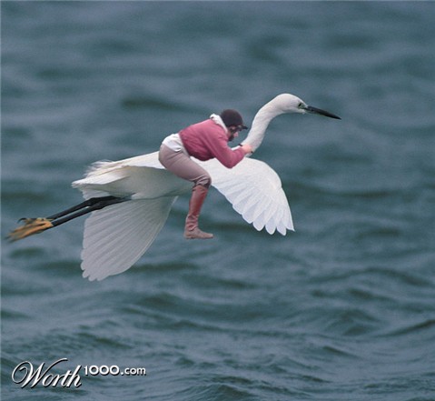 Photoshop Design by dimwit91