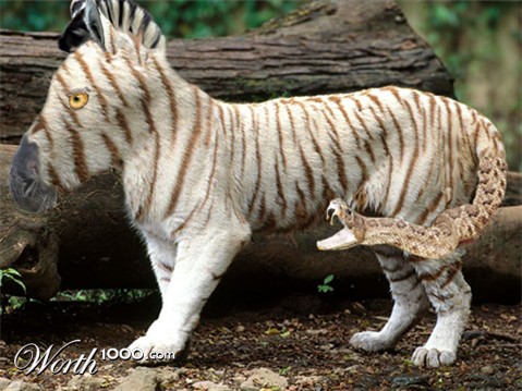 Photoshop Design by Bluntmantonio