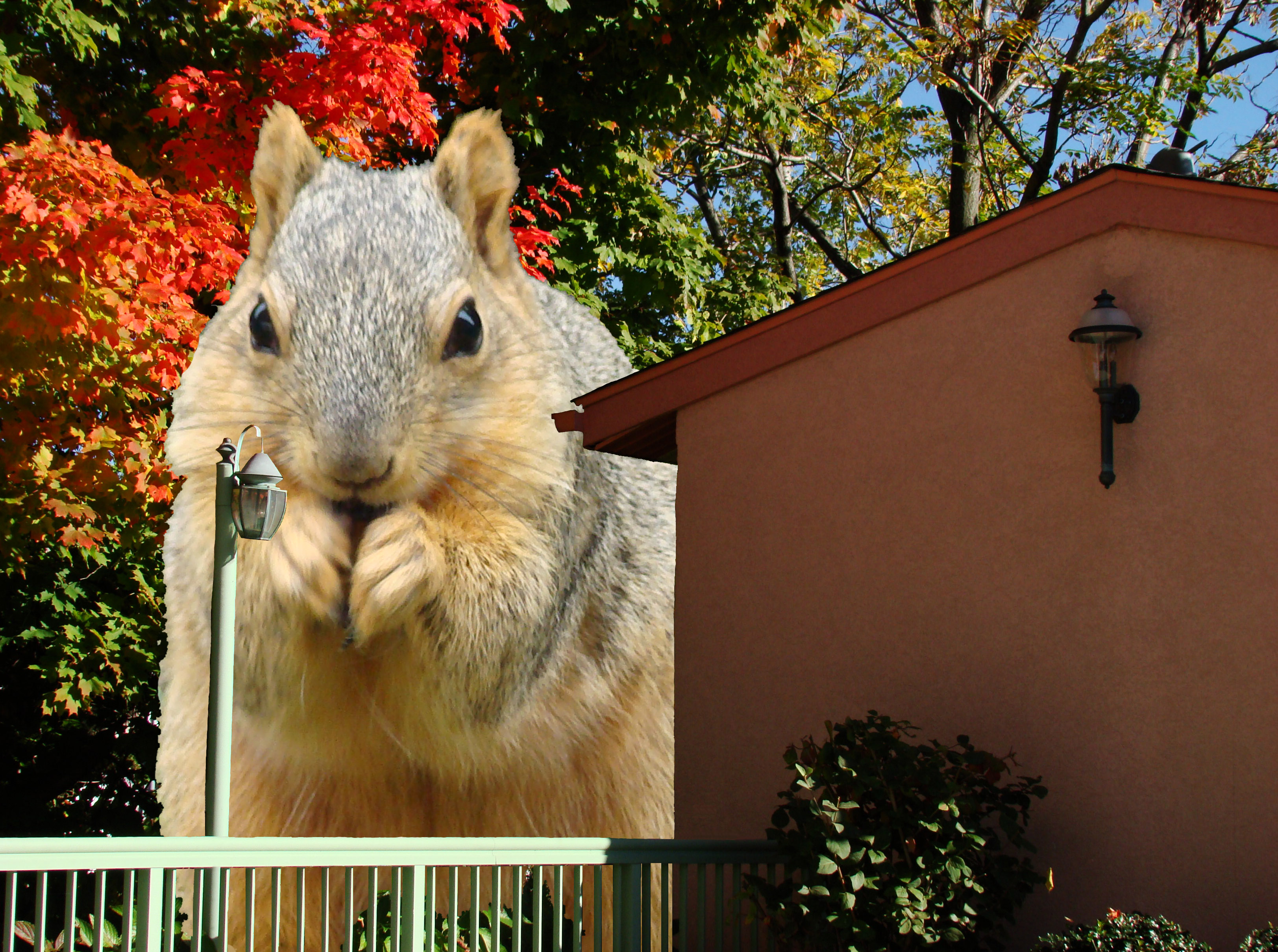 Design Photoshop par janefrog pour DesignCrowd (Community Contests) | Design #8963416