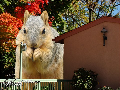 Photoshop Design by janefrog