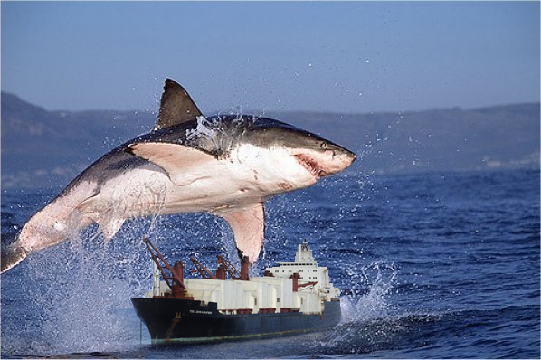 Photoshop-Design von KidLightning66 für DesignCrowd (Community Contests) | Design #8963411