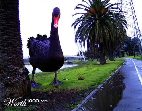 Photoshop Design by philgtaylor