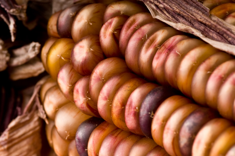 Photography by poisonberry for DesignCrowd (Community Contests) | Design #8963215