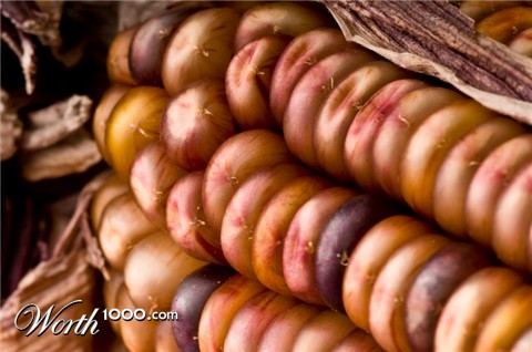 Photography by poisonberry