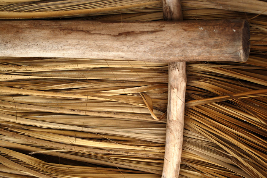 Photography by Tiffa130 for DesignCrowd (Community Contests) | Design #8954955