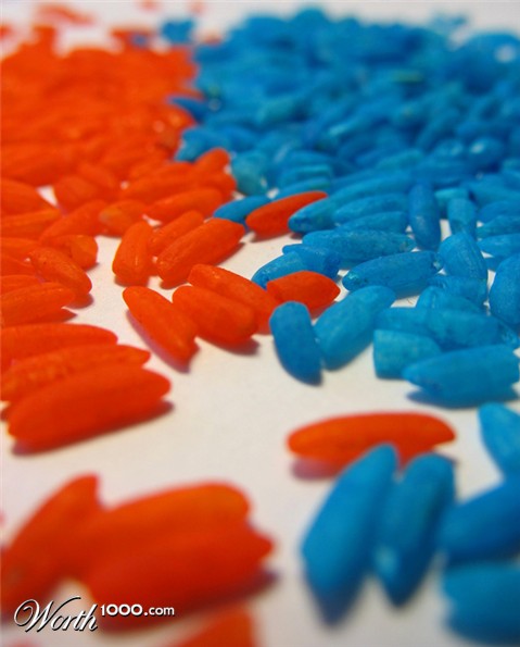 Photography by Kristute